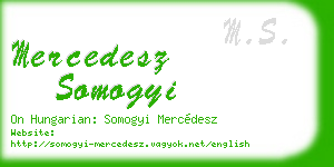 mercedesz somogyi business card